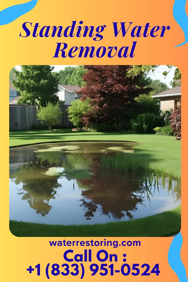 Standing Water Removal in Galena, KS